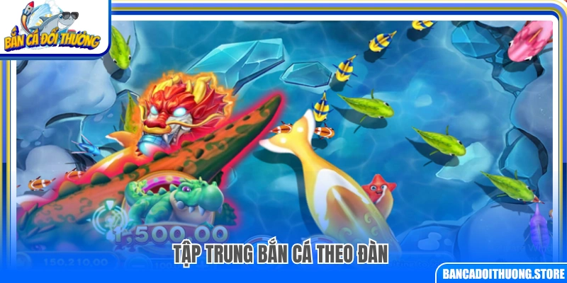  Chiến thuật bắn cá theo đàn để tối ưu xu