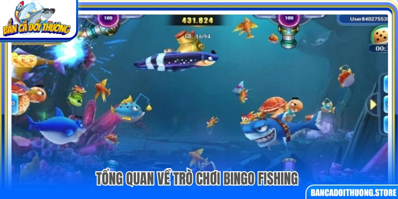 Khái quát tổng thể về trò chơi Bingo Fishing