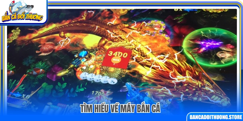 Khám phá về máy bắn cá