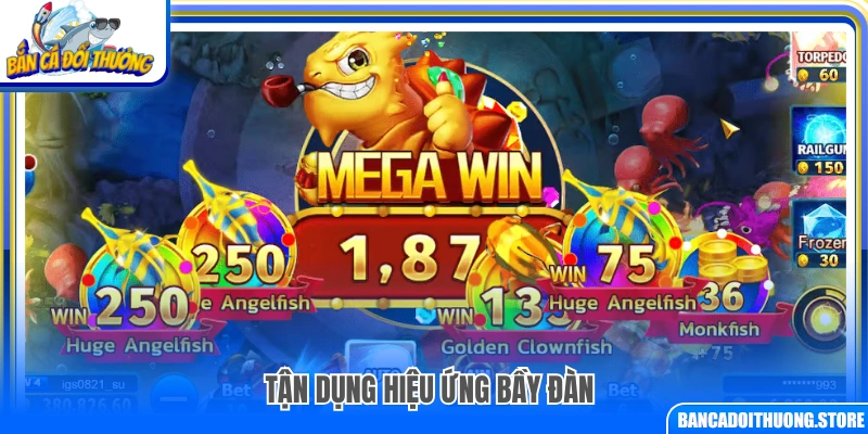 Mẹo bắn theo bầy giúp tăng hiệu quả săn cá