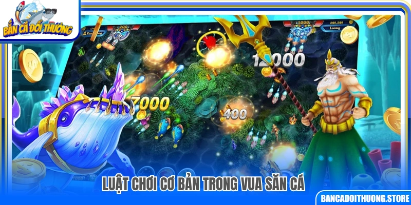 Quy tắc chơi cơ bản của vua săn cá